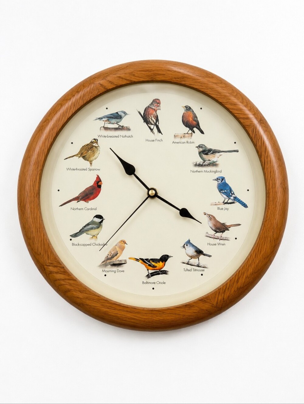 Singing Bird Wall Clock 12 North American Birds Oak Look 13" For Repair